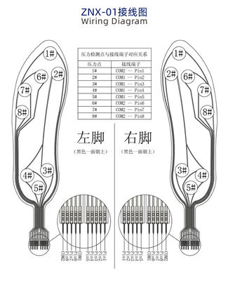 Multipoint Thin Film Pressure Sensors CE ROHS Insole Intelligent Varistor Type